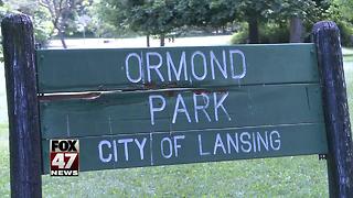 Local group has concerns over park millage funds for Ormond Park