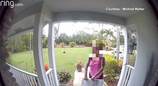 Neighbor in the surveillance claims package misdelivery