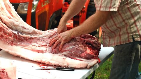 Unbelievable Home Grown Pork | Butchering My First Pig