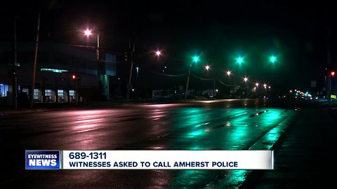 Amherst Police looking for witnesses to deadly crash