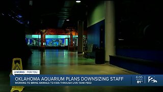Oklahoma Aquarium Adjusts to COVID-19 Pandemic
