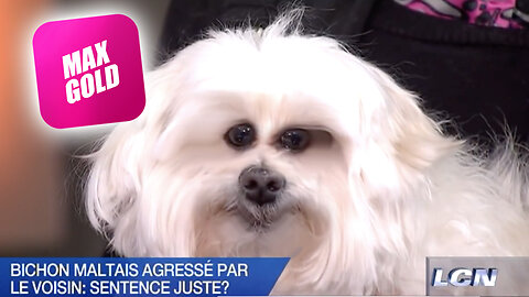 LA PIRE ÉPISODE de DENIS LÉVESQUE À VIE 😂😂😂 Son VOISIN COUCHE avec SON PETIT CHIEN...WTF !!!