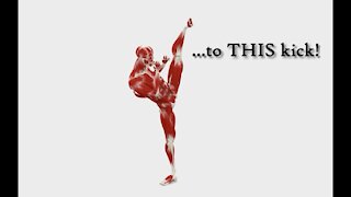Side Kick Tutorial Anatomy Muscle Flexibility Strength Diagram Good vs Bad - YouTube