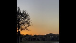 Southwest Florida Sunset- Vertical