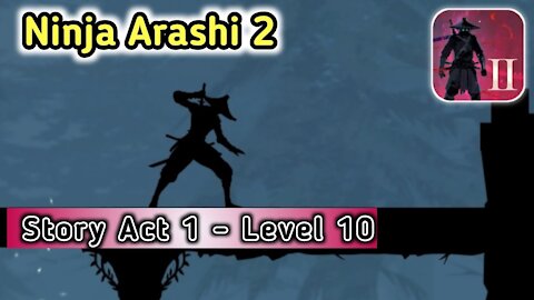 Ninja Arashi 2.act 1 level 10.