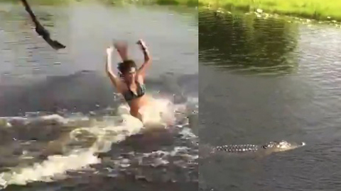 Kids Swing and Jump Into River With Crocodile in It