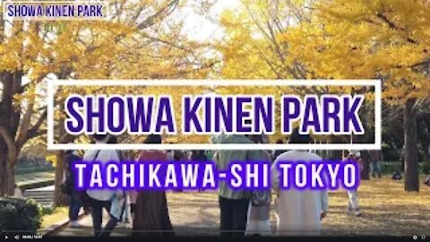 Autumn - Showa Kinen Park [4k] 昭和記念公園 I Tachikawa-shi Tokyo I JAPAN