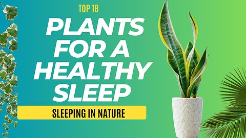 Top 18 Plants for a Healthy Sleep: Revealing Nature's Best-Kept Secret
