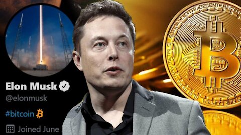 Bitcoin Crashing? Elon Musk and China to Blame?