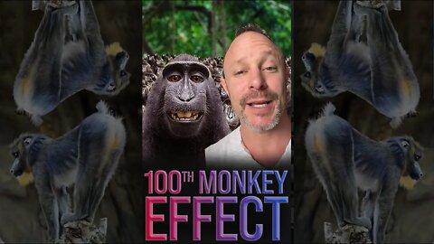 The 100th Monkey Effect 🙉 #shorts