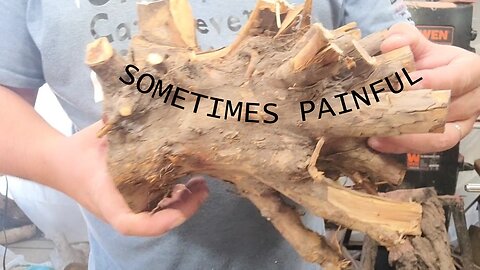 Sometimes It's Worth The Pain - Unknown Root