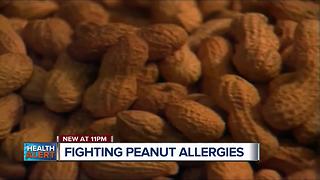 New treatments for peanut allergies