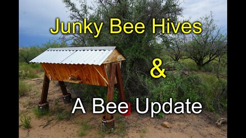 Scrap wood bee hives and a BEE Update!