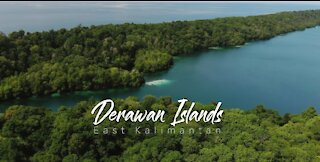 Derawan Island - Travel video