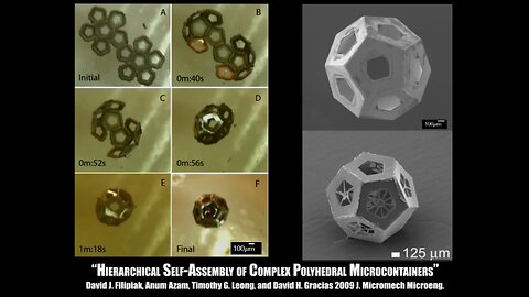 Johns Hopkins University's Gracias Lab Shows Incredible Functionalities In Micro And Nanostructures