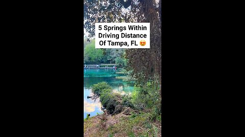 5 Springs Within Driving Distance of Tampa