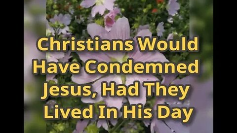 Morning Musings # 533 - Christians Would Have Condemned Jesus, Had They Lived In His Day. Jn 10:33