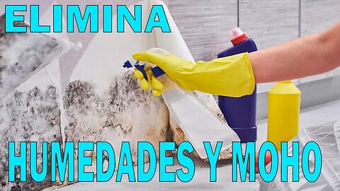 7 Consejos para EVITAR las HUMEDADES y el MOHO en el Hogar 🏡