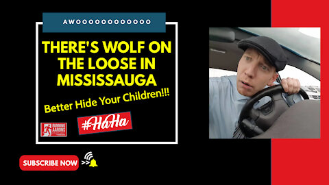 THERE'S A WOLF ON THE LOOSE IN MISSISSAUGA - Police Investigating...