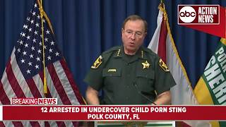 Polk County detectives arrest more than 12 in undercover child porn sting