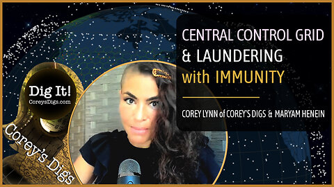 Central Control Grid & Laundering With Immunity with Corey Lynn of Corey's Digs