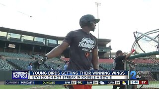 Young Orioles prospects getting winning wings in Bowie