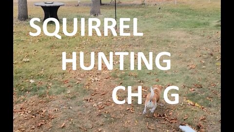 Squirrel Hunting Chug