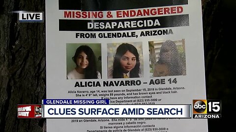 Clues surface amid search for Alicia Navarro