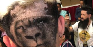 Barber wins national competition with works of art