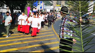 SOUTH AFRICA - Johannesburg - Palm Sunday (videos) (mQ6)