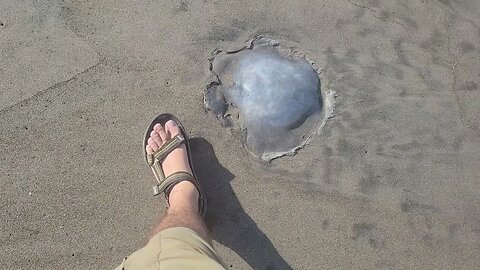 Seeing the beach view in leyte Philippines for the 1st time