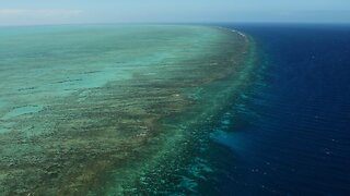 Great Barrier Reef Outlook Deteriorates From 'Poor' To 'Very Poor'