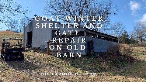 Goat Winter Shelter and Gate Repair on Old Barn