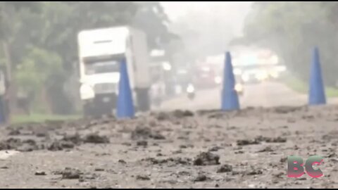 ‘Biblical’ plague of frogs, toads and tadpoles causes multi-car pile-up