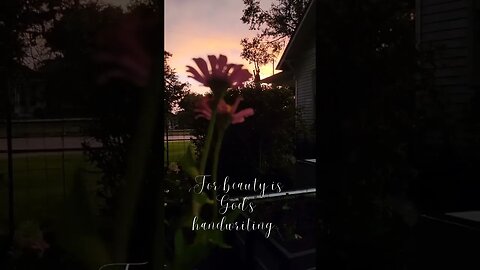 Beautiful Night Sky Above the Pixie's Potager...#garden #potager #sunset #beauty #rewildingthepixies