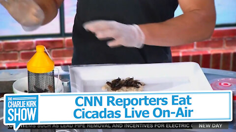 CNN Reporters Eat Cicadas Live On-Air