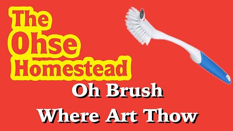 Oh Brush Where Art Thou - VLOG # 38