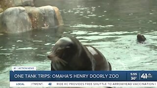 One Tank Trips: Omaha's Henry Doorly Zoo