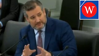 Cruz TEARS into Facebook Head of Safety Over Insta Suicide Research