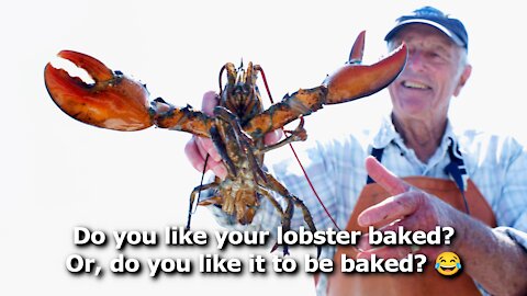 In the Name of Science, Scientists Got Lobsters Stoned, Tortured Them to See if it Dulled Their Pain