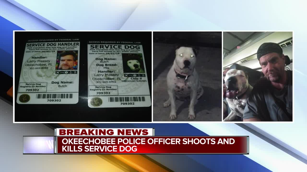 Service dog shot, killed by Okeechobee police