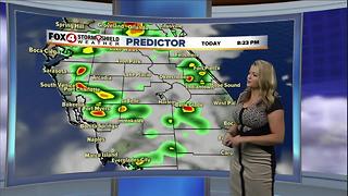 Hot and Humid with Afternoon Storms