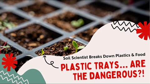 Do Plastic Trays Leach Plastic Into Our Soil & Eventually Our Plants? Seed Starting In Canada