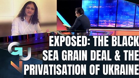 EXPOSED: The Black Sea Grain Deal Did NOT Feed Poor Countries, The Mass Sale of Ukrainian Farmland
