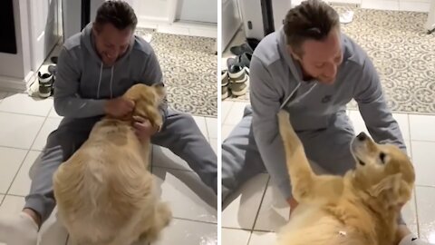 Ecstatic dog emotionally reunited with owner after ten months away