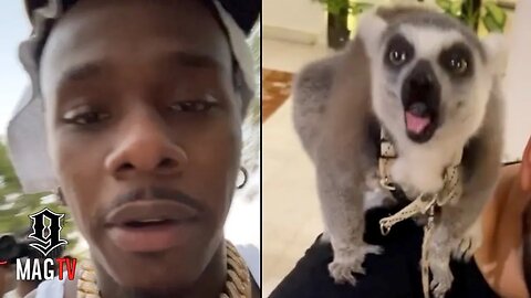 "I Told Ya'll" DaBaby Gets Rushed By Coati Raccoon At Private Zoo In Dubai! 🦝
