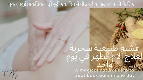 A magical natural herb for treating back pain - joints - rheumatism - in one day