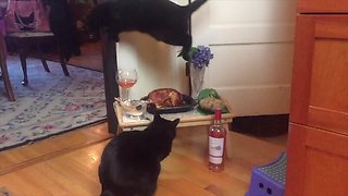 Crazy jumping cat leaps over roast chicken dinner
