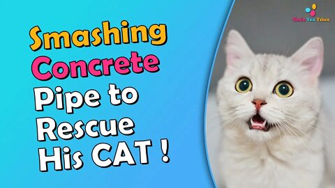 Owner Needs to Smash Concrete Pipe to Rescue His Cat