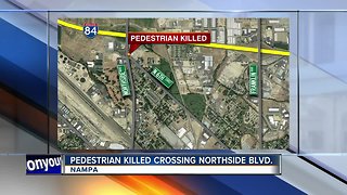 Idaho State Police: Pedestrian fatally struck by car